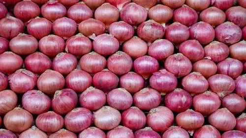 Onion